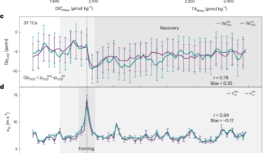Reduction of tropical cyclone-induced ocean carbon outgassing since 1993