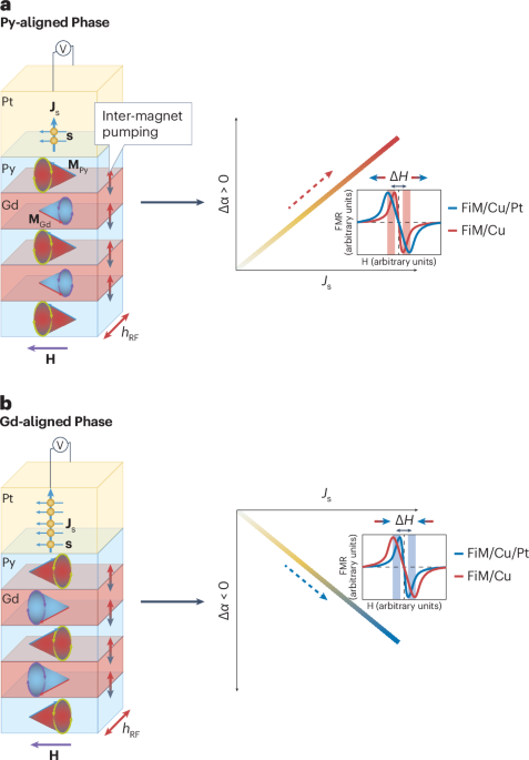 More spin flow with less dissipation