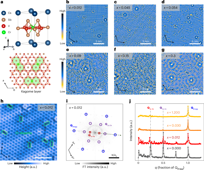Spatially anisotropic Kondo resonance coupled with the superconducting gap in a kagome metal