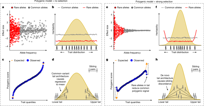 Distinct genetic architecture in the tails of complex traits