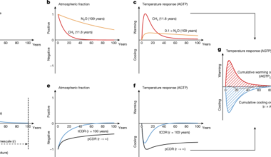 Temporary carbon dioxide removal to offset short-lived climate forcers