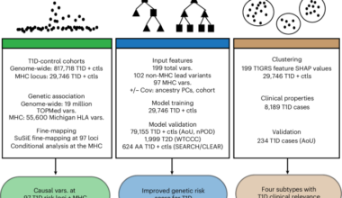 Genetic association and machine learning improve the prediction of type 1 diabetes risk