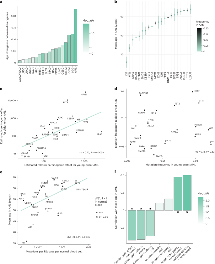 Fig. 3: Age distributions of AML mutations provide information on selection and carcinogenicity.