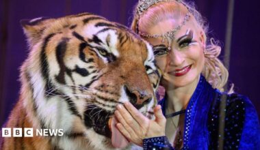A woman smiles next to a tiger as it licks the palm of her hand