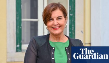 Future of UK lies in the EU after Brexit ‘failure’, say European Greens | Brexit