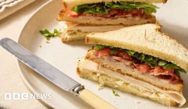 The image shows a neatly prepared sandwich cut into triangular halves, stacked slightly apart on a light-colored ceramic plate. The sandwich is made with soft white bread, with a golden-brown crust and a fluffy interior. Inside the sandwich, there are visible layers of sliced deli meat, fresh green leafy vegetables and slices of red tomato, secured with a cocktail stick