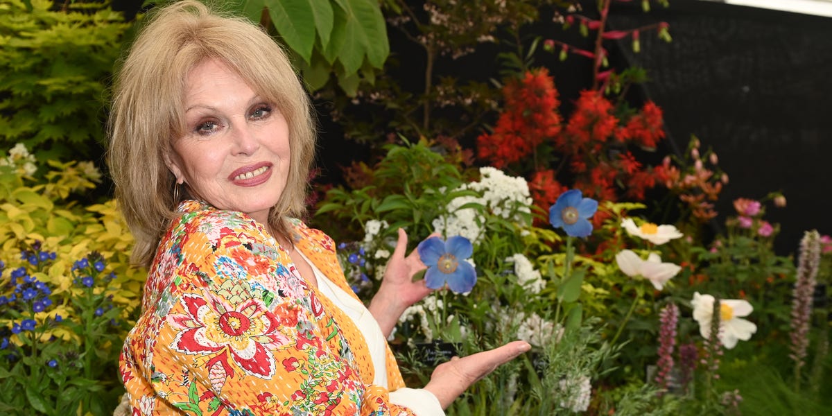 At 80, Joanna Lumley swears by this anti-aging hobby