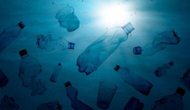 Plastic waste carries toxic chemicals through seas: Study