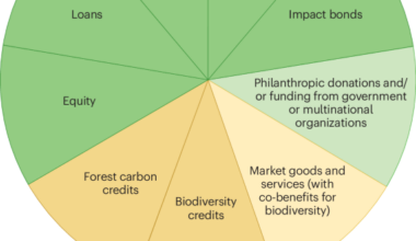 Demystifying biodiversity finance | Nature Reviews Biodiversity