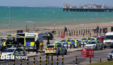 Various police vehicles in a car park on Brighton seafront. Brighton Palace Pier and a choppy sea are in the background.