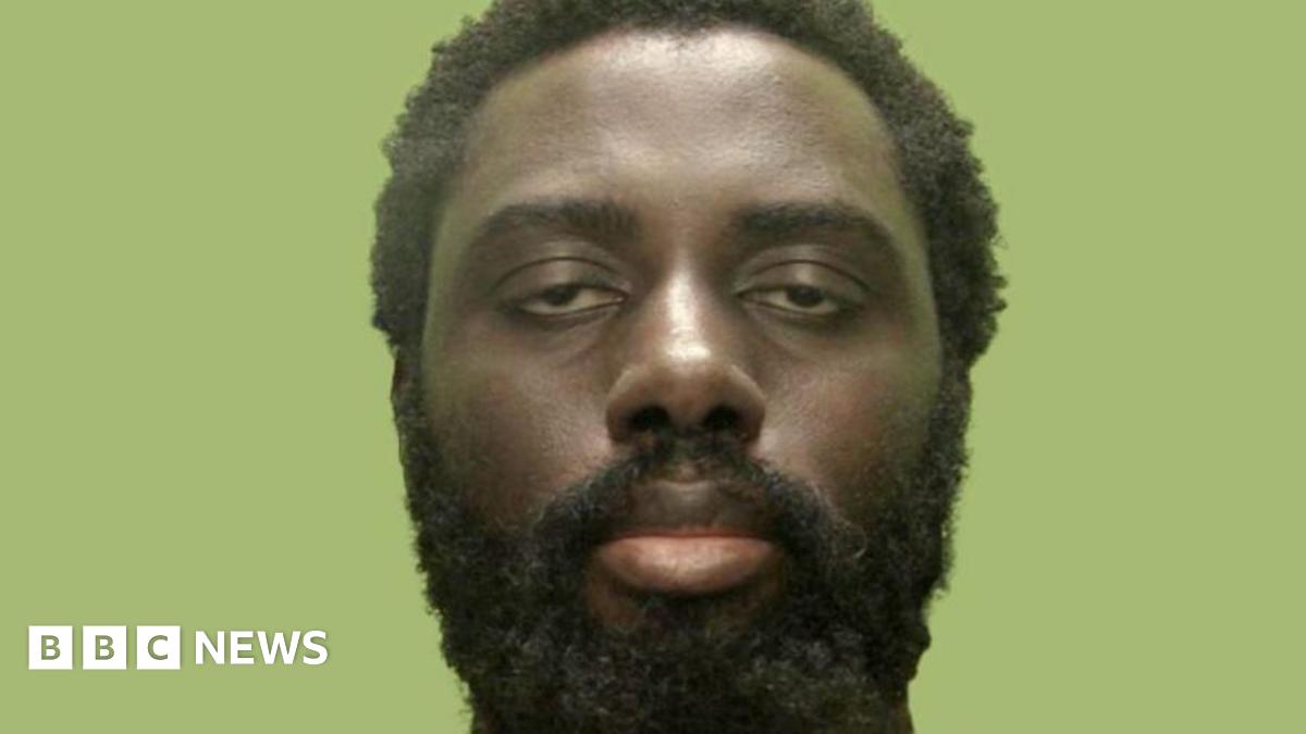 Valdo Calocane was sentenced to an indefinite hospital order in January after admitting manslaughter on the grounds of diminished responsibility.