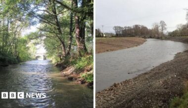 The two photos are side by side. One shows a river lined with trees, the other shows the bare banks with soil sides.