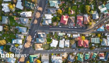 An aerial view of leafy streets and  houses with different coloured roofs