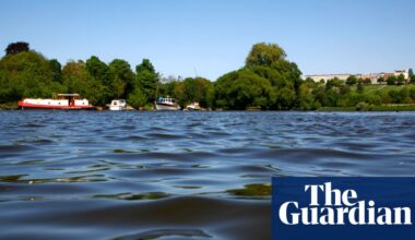 River Thames in London gets first official bathing spot on Friday | Water