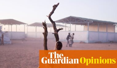 The dinosaurs of international aid must adapt or die – their expensive era is over | Halima Begum