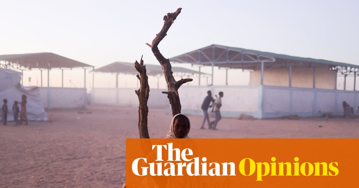 The dinosaurs of international aid must adapt or die – their expensive era is over | Halima Begum