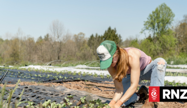 Rural Women call for more support for mental health