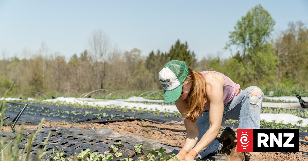 Rural Women call for more support for mental health
