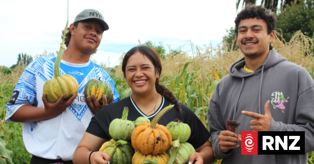 Hawke's Bay rangatahi design healthy eating guidelines, launch social media campaign
