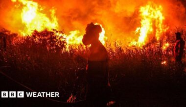 Indonesian firefighters, from Indonesian Disaster Management, try to extinguish a wildfire on September 14, 2023. Forest and land fires engulfed many parts of the country due to the El Nino-induced dry season.