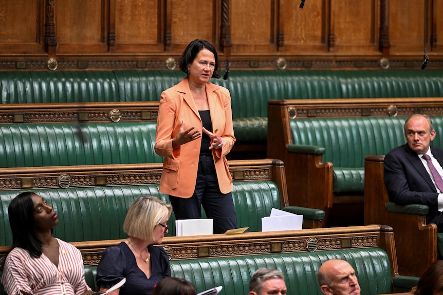 Labour MP Catherine West standing in the House of Commons in London. She's speaking and gesticulating.