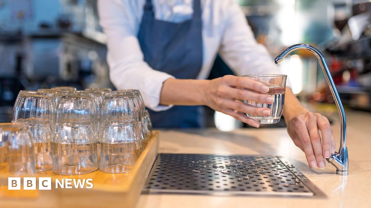 Stock photo shows a person filling a glass of water from a filter tap in a hospitality setting - they are positioned behind a bar with a stack of glasses in frame and wear a blue apron.