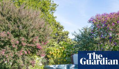 UK heatwave triggers price rises for hot tubs and air conditioning units | Consumer affairs
