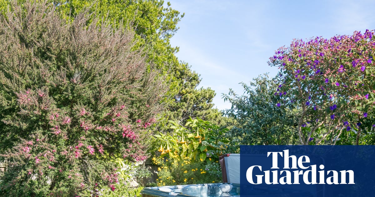 UK heatwave triggers price rises for hot tubs and air conditioning units | Consumer affairs