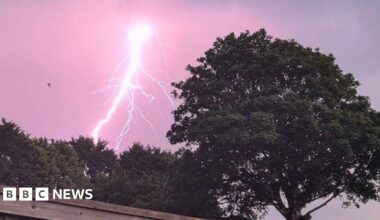 A lightning strike in a purple sky. There is a tree in the image.
