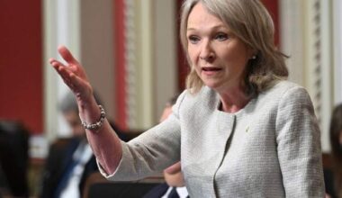 Quebec psychiatrists group supports bill on forced hospitalizations for mentally ill - Montreal