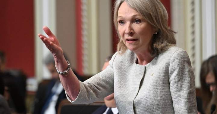 Quebec psychiatrists group supports bill on forced hospitalizations for mentally ill - Montreal