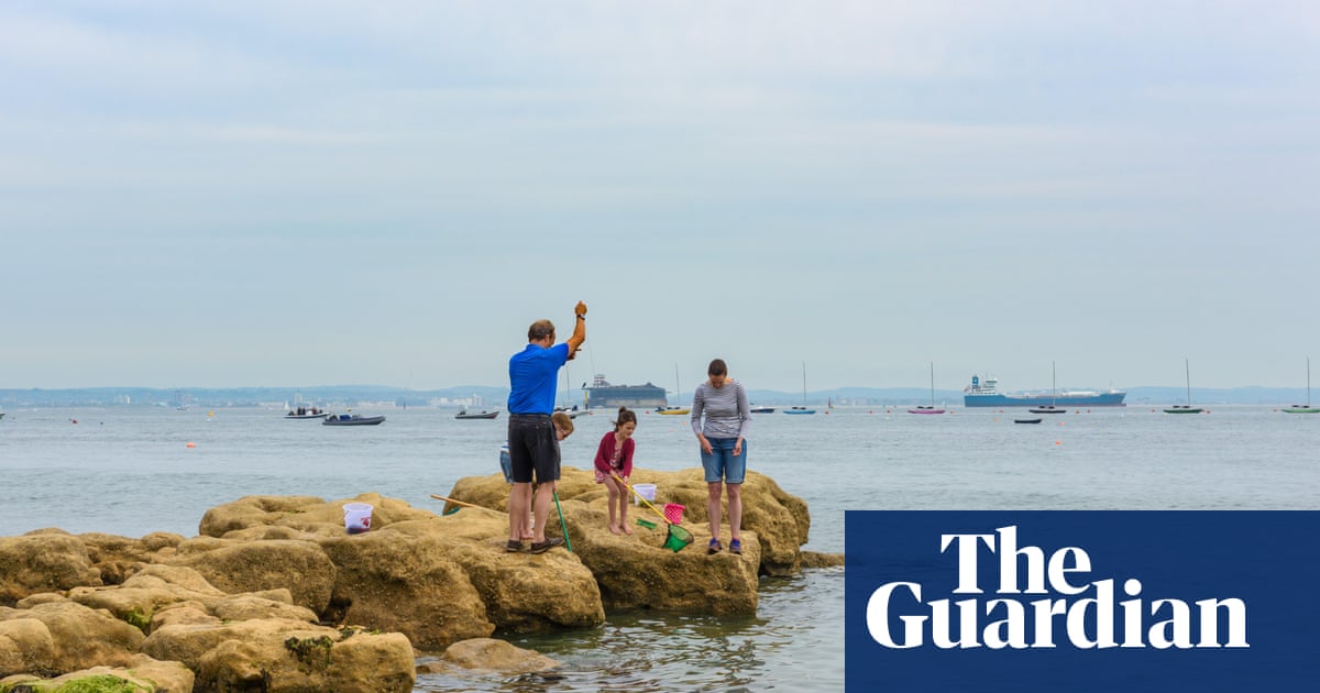 High levels of toxic ‘forever chemicals’ found off coast of southern England | Marine life