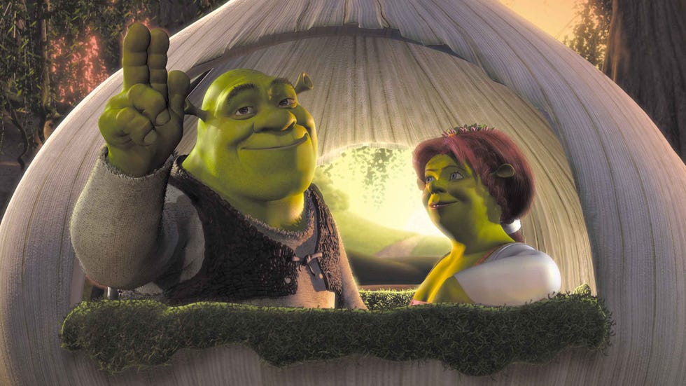 Shrek and Princess Fiona in Shrek (2001) shrek and princess fiona in shrek 2001