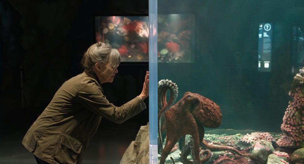 sally field, remarkably bright creatures