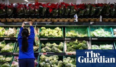 Britain ‘sleepwalking into a food crisis’ without urgent action, experts say | Environment