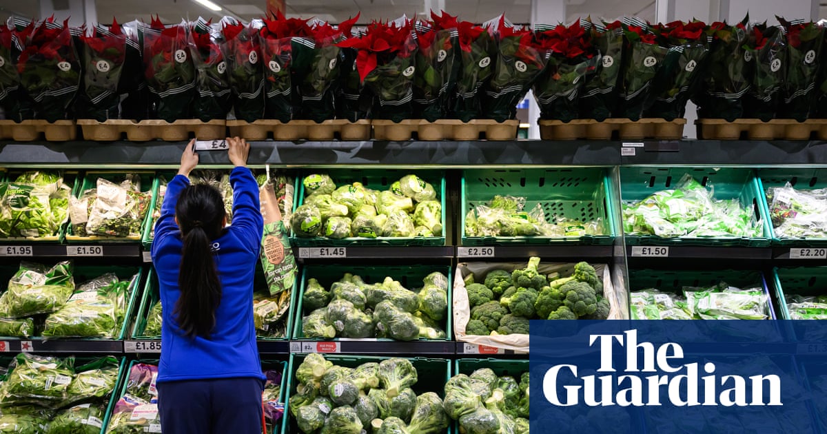 Britain ‘sleepwalking into a food crisis’ without urgent action, experts say | Environment