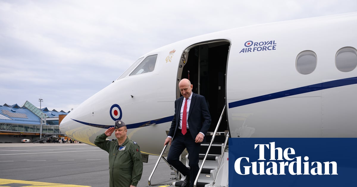GPS jammed on RAF jet carrying UK defence secretary close to Russian border | Russia