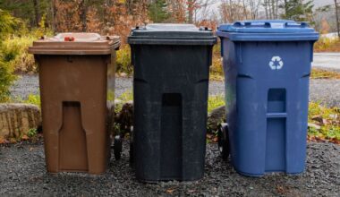 Bins 'won't be collected' if common item is found in food waste | UK | News