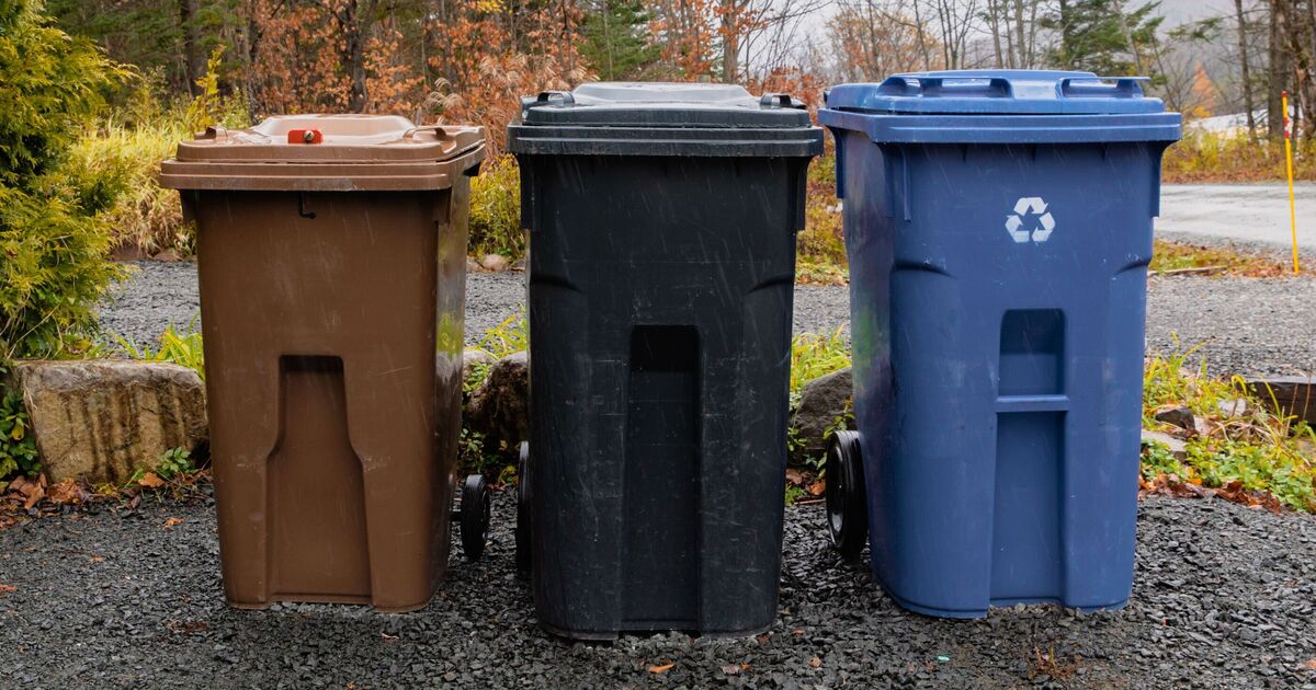 Bins 'won't be collected' if common item is found in food waste | UK | News