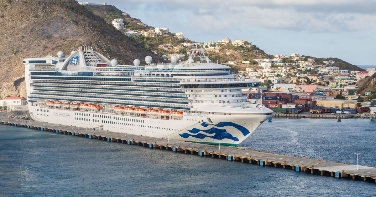Panic as cruise ship with 110 people sick with norovirus docks in Florida | World | News
