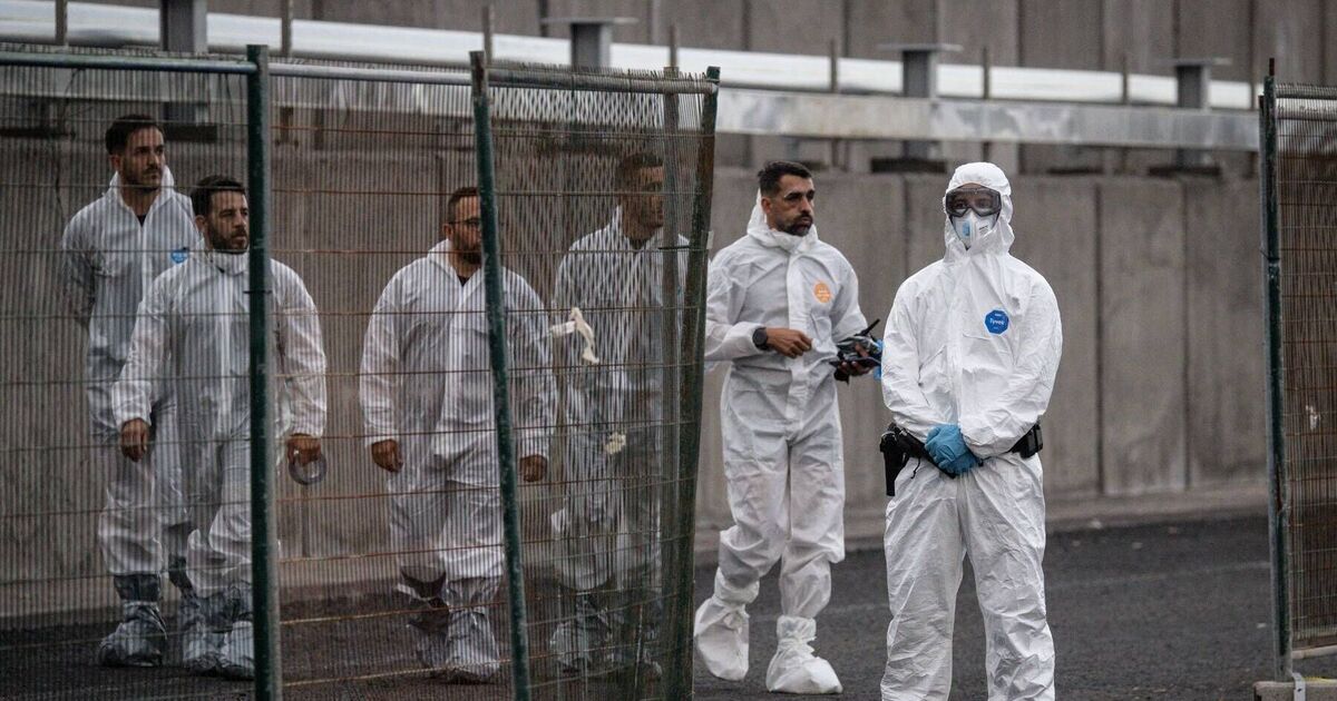 Hospital staff to be quarantined for weeks after hantavirus PPE failure | World | News