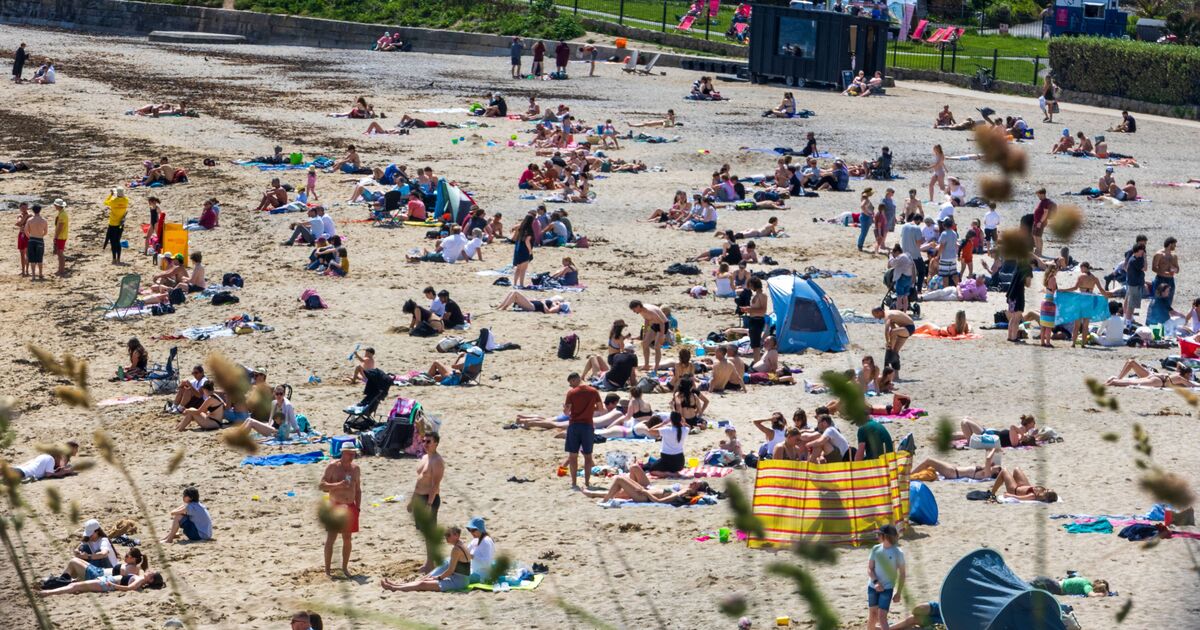 Pharmacist sertraline fluoxetine amitriptylinas warning in 35C heat | Weather | News