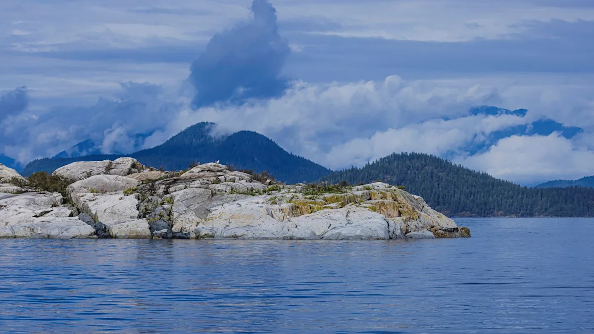 Wildlife photographer ecstatic after finally capturing British Columbia's rare sea wolves: 'Patience is the only currency'