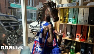 A wooden horse statue wearing a blue and white Ipswich Town Football Club scarf. In the background is a shop window with cars parked outside. There are also items on a shelf.
