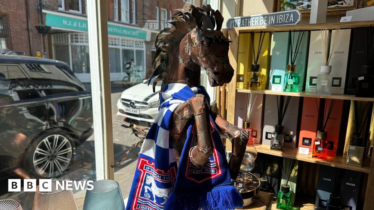 A wooden horse statue wearing a blue and white Ipswich Town Football Club scarf. In the background is a shop window with cars parked outside. There are also items on a shelf.