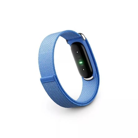 A Google Fitbit Air product photo