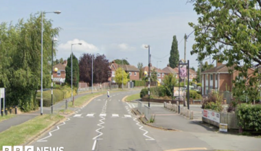 A suburban street lined by estate housing with trees either side and a pedestrian crossing visible