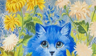 Pembrokeshire couple sells Louis Wain paintings found in skip for £16,000 - BBC