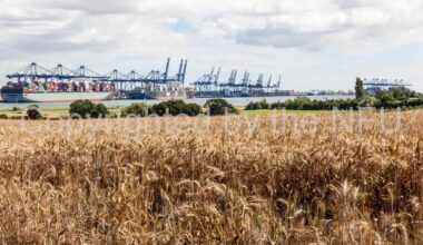 Retaliatory tariffs on US goods – NFU responds to government consultation