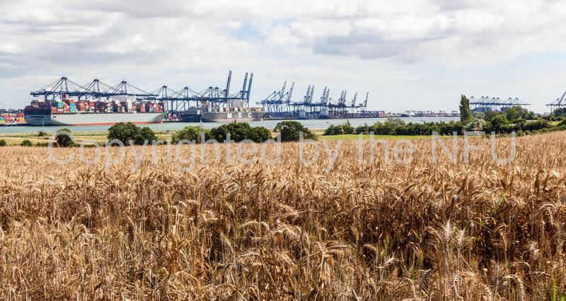 Retaliatory tariffs on US goods – NFU responds to government consultation